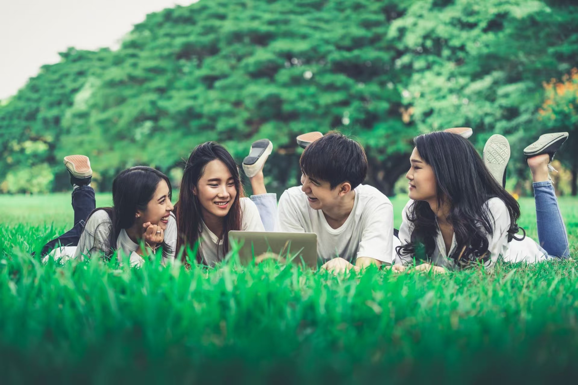 循光,自发光占位背景图片